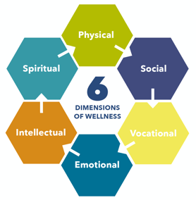 6 Dimentions of Wellness