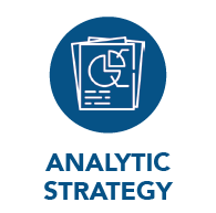 Analytic Strategy