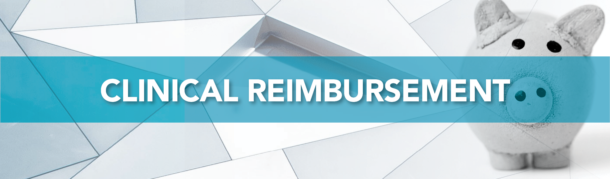 Clinical Reimbursement Header_112320