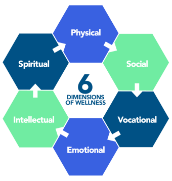 RISE - Six Dimensions of Wellness Graphic_Trans