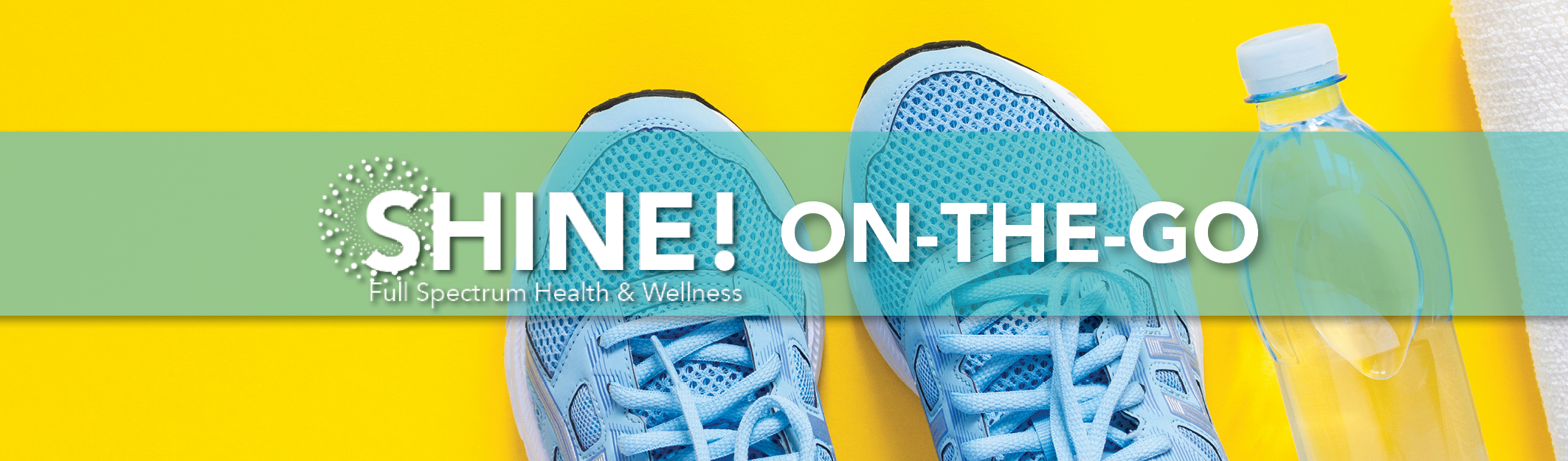 SHINE On-The-Go Website Header